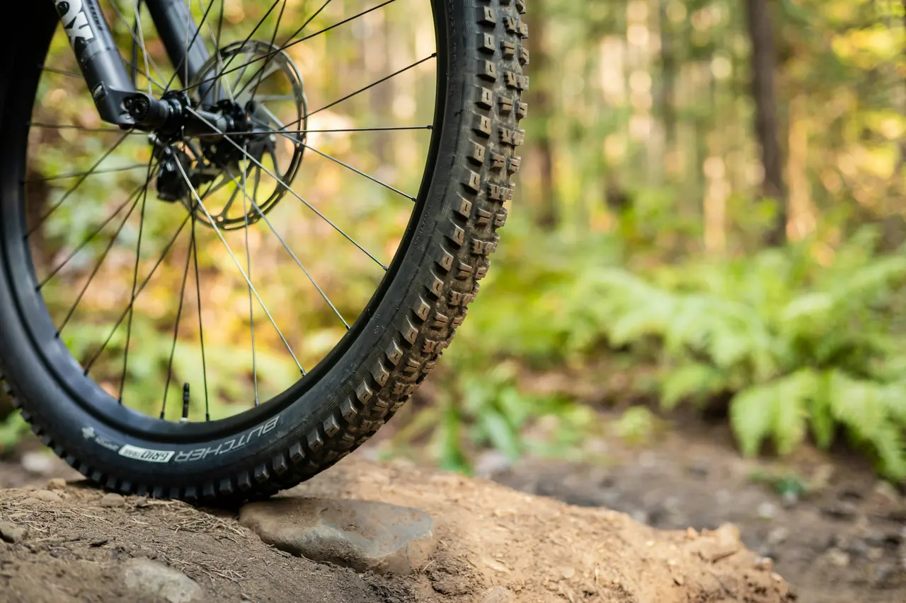 Knobbly mountain bike tyre on a dirt trail